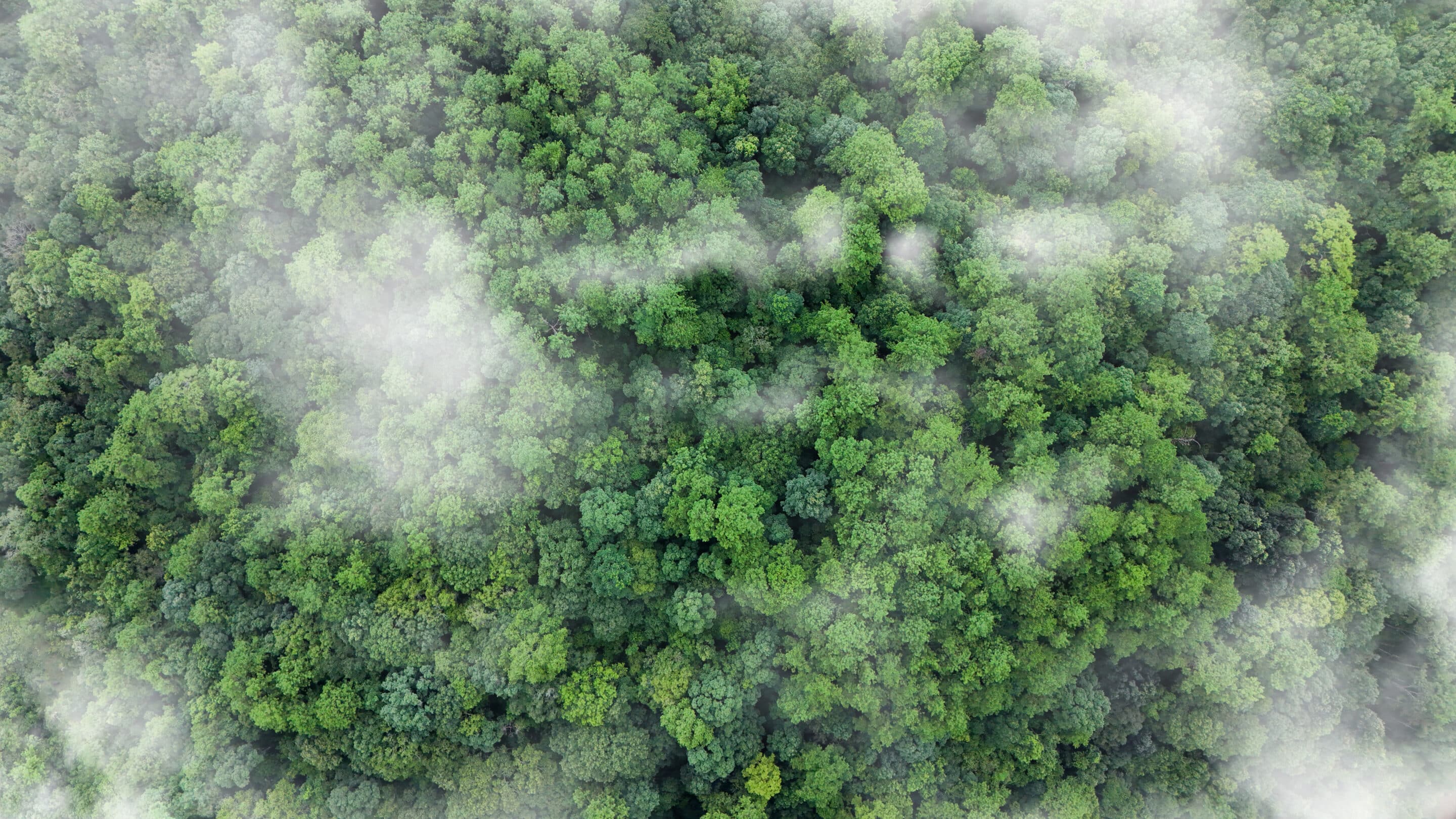 CCUS / CO2 Handling | Beamonics